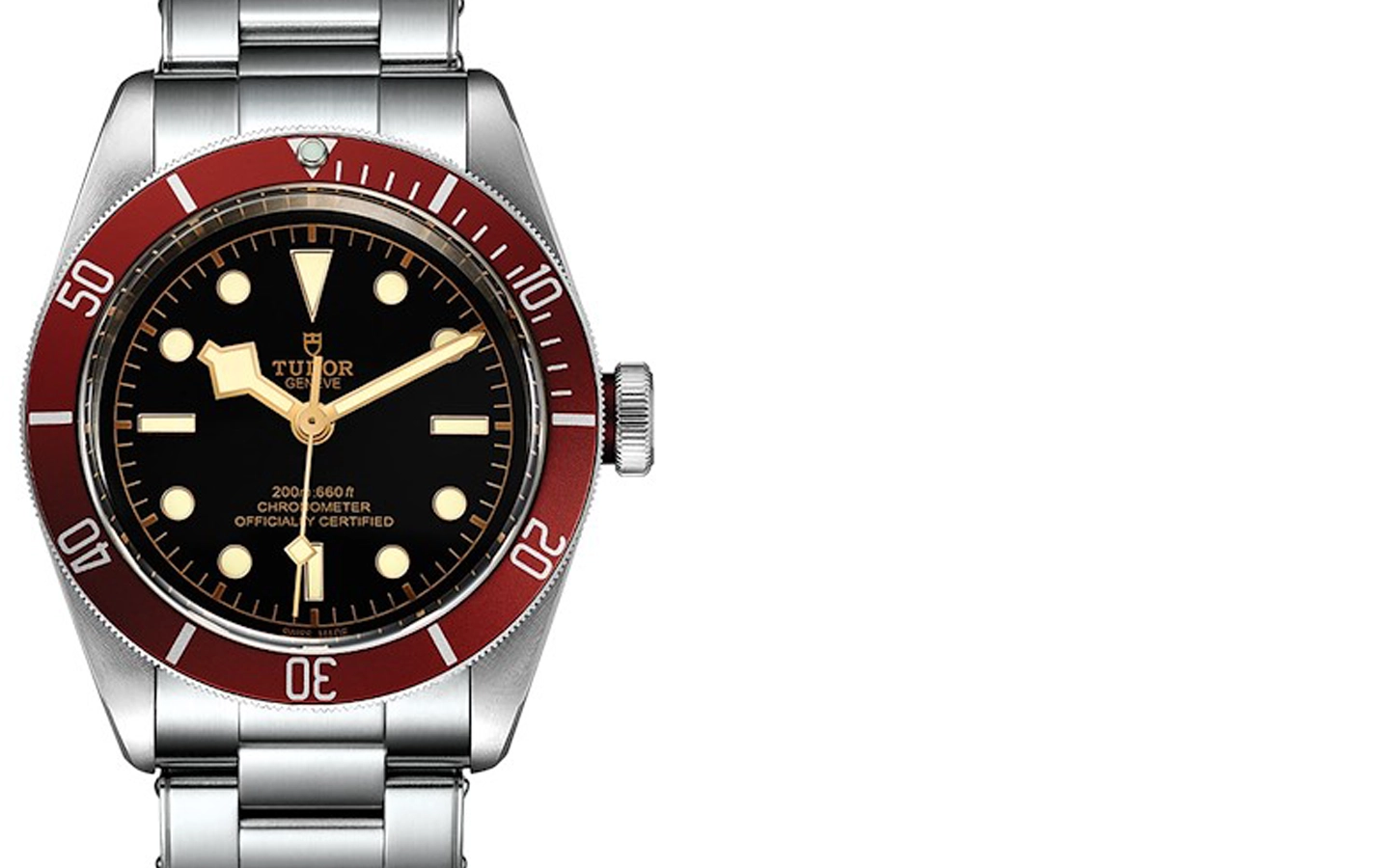 Tudor Black Bay M79230R-0012 WatchProject 21 Shop